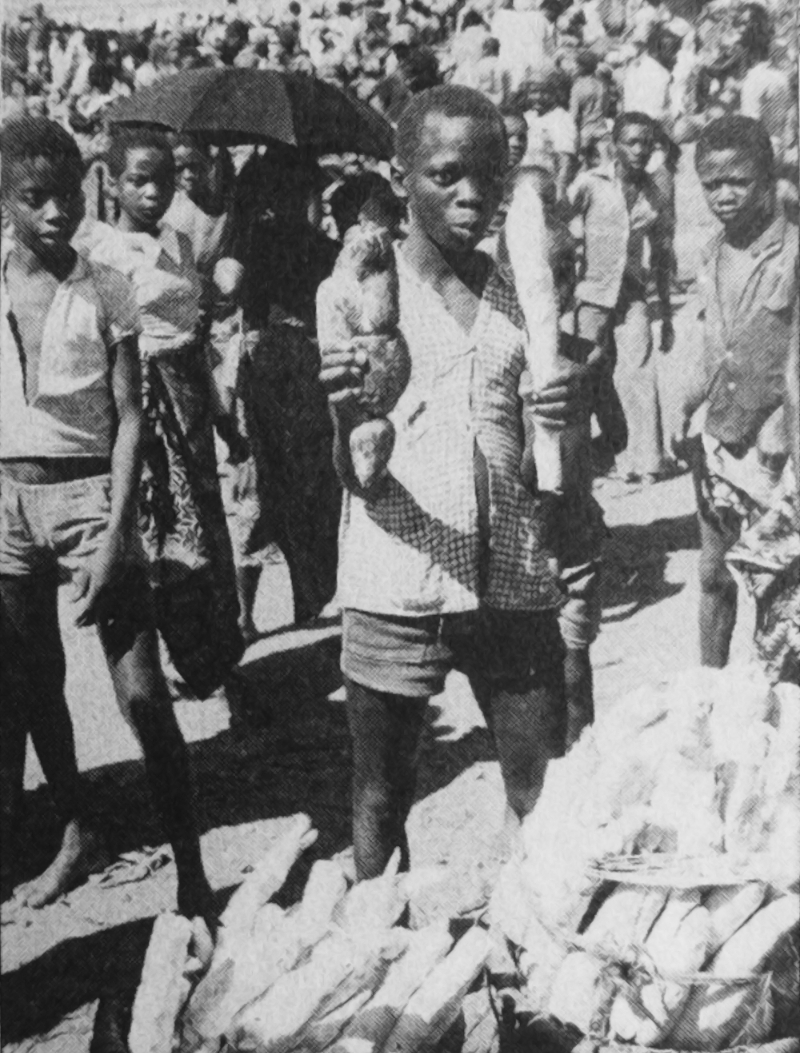Cossette de manioc fermenté noirci tenu par un garçon dans sa main droite (main gauche une cossette bouillie sans fermentation), lac Tanganyka - Ankei 1996